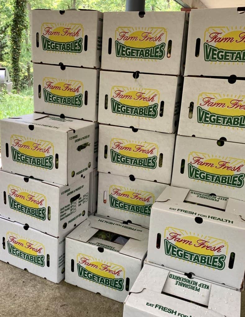 Boxes labeled Farm Fresh Vegetables