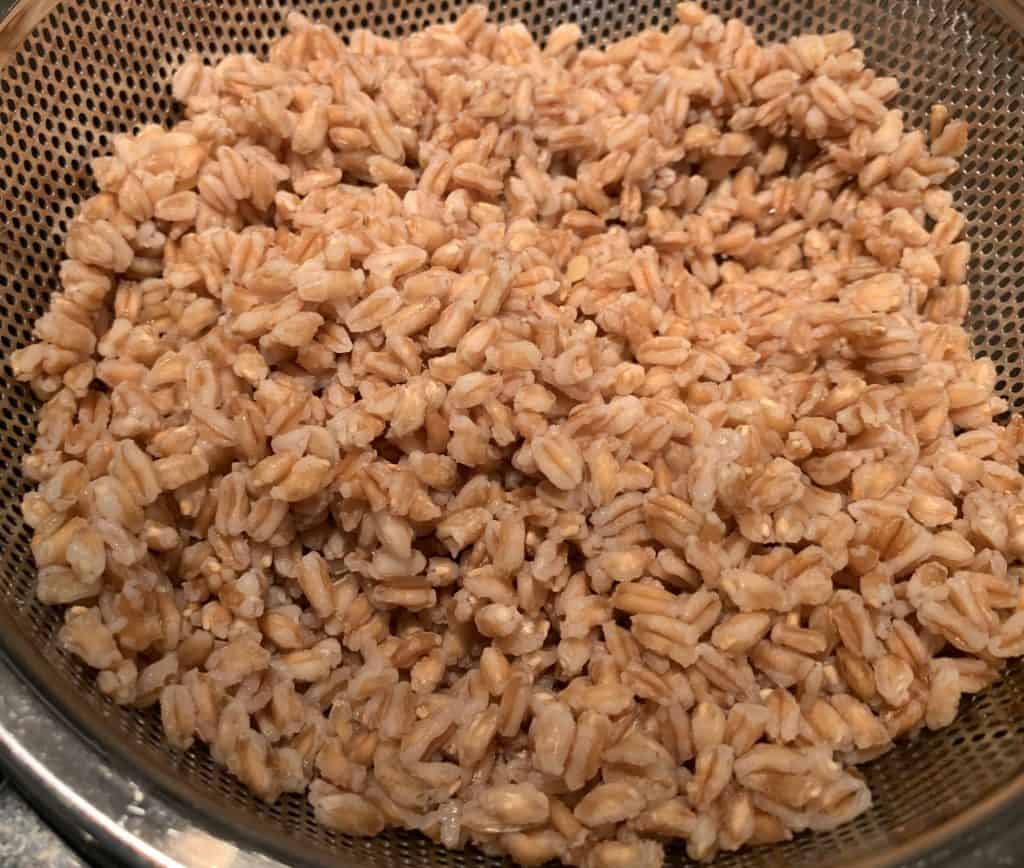 Cooked Farro in strainer